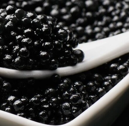 Discover the incredible effects of caviar on your hair